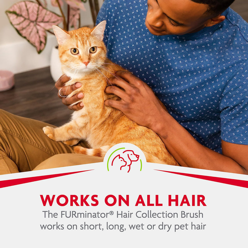FURminator Hair Collection Brush Grey, Color May Vary - PawsPlanet Australia
