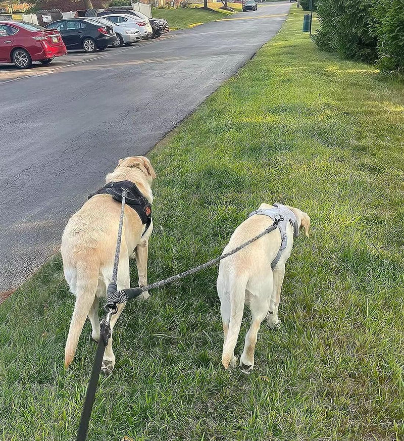 Double Dog Leash Coupler, Extension Rope for Two Dogs, No Tangle Dual Dog Lead Splitter for Large Medium Dogs Over 40 lbs (1/2" X 33"- Pinkblue) Large (1/2"D x 33"L)