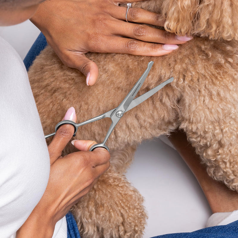 Tweezerman 7" Pet Grooming Scissors with Safety Round Tips, Professional Curved Grooming Shears for Dogs and Cats 7" Shears - PawsPlanet Australia
