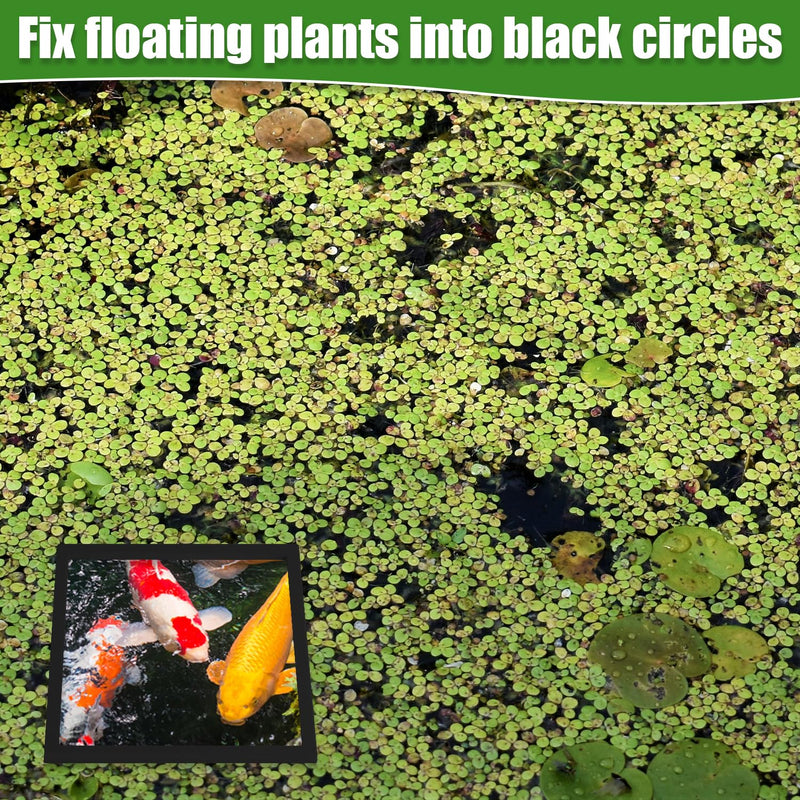 6pcs Fish Feeding Rings, Aquarium Floating Plant Rings, Round & Square Fish Feeder Rings Floating Plant Corral Fish Tank Plant Ring for Bettas, Goldfish, Turtle Aquarium Accessories (Black) - PawsPlanet Australia