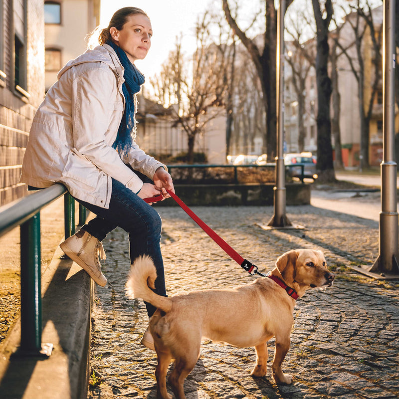 Dog Leash (Width - 1”, Length - 5 FT) | Lightweight Breathable & Tangle Free Dog Leads with Soft Silicone Grip & Lock Snap | Ideal for Walking, Training & Running | Large - Blue Large: 1" x 5 FT