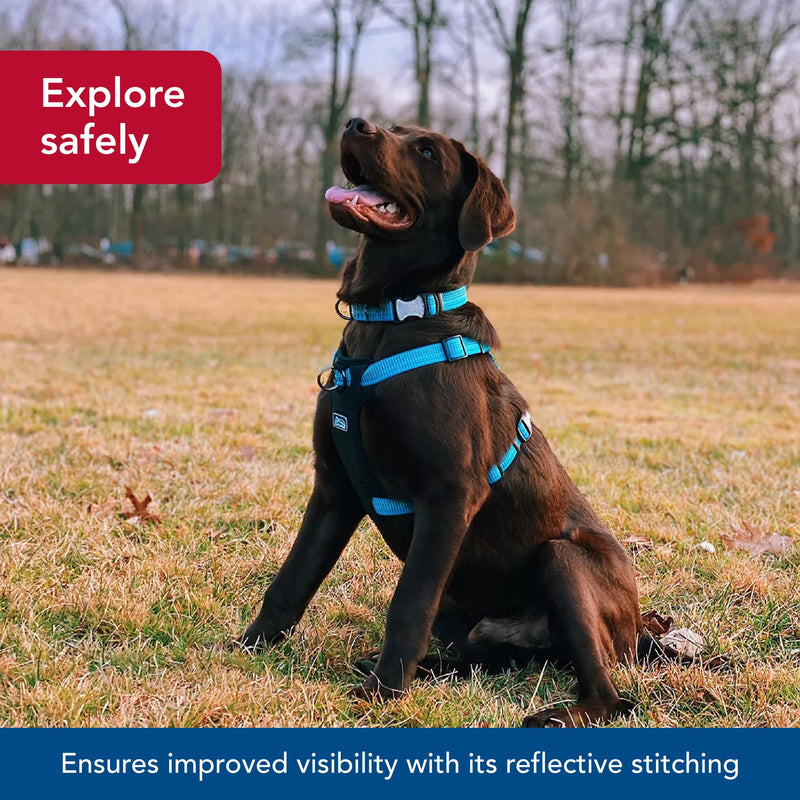 Coastal - K-9 Explorer - Brights Reflective Front-Connect Harness, Canyon, 1" x 20"-30" 1" x 20"-30" (Pack of 1) - PawsPlanet Australia