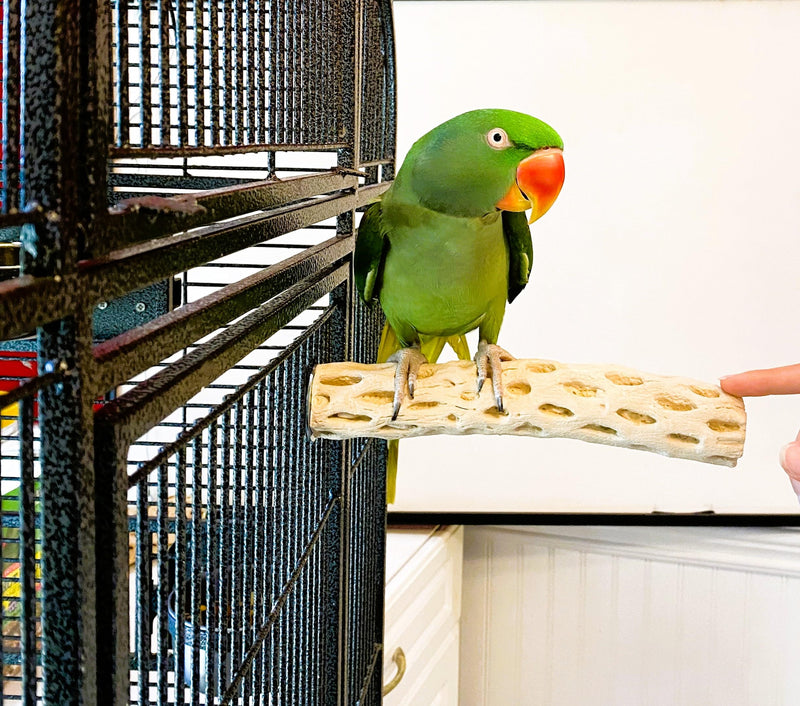 Polly's Manu Mineral Perch for Parakeets, Cockatiels, Macaws, Amazons (Large) Large - PawsPlanet Australia