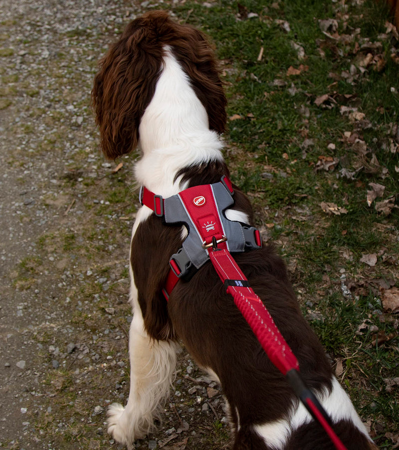 EZYDOG X-Link| Dog Harness Small, K9 Dog, Harness Medium, Reflective Stitching, Front & Rear Attachment (Pink, L) Pink - PawsPlanet Australia