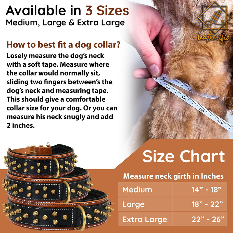Genuine Leather Dog Collar by Leatherific, Premium Bridle Leather, Heavy Duty, Padded, Strong, Screwed Spikes, Medium, Large, Extra Large Breeds, 2" Wide (Charcoal, Neck Size 22"-26") Charcoal Neck Size 22"-26" - PawsPlanet Australia