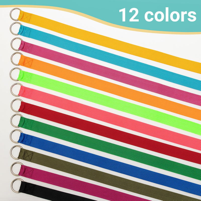 Slip Lead Dog Leash, 12 Pack 6 FT Short Leash with O-Ring for Small, Medium & Large Dogs, Pet Leads Leashes Bulk for Walking, Training, Rescues, Grooming, Shelter, Running Outdoor - PawsPlanet Australia