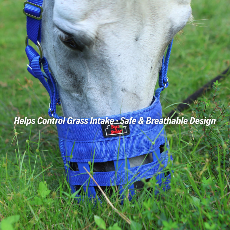 BARN & STABLE Horse Grazing Muzzle for Easy Breathe, Comfortable Muzzle Grazing for Horses with Adjustable Straps, Buckles, Suitable for Precaution of Laminitis Blue Small - PawsPlanet Australia