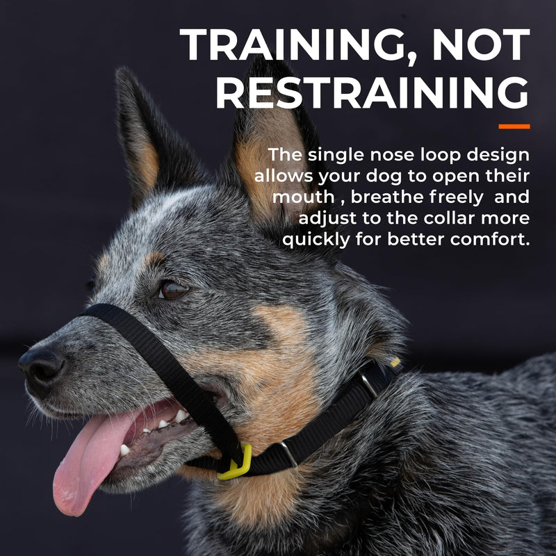 Canny Collar No-Pull Dog Headcollar | Train Your Dog To Stop Pulling & Walk On a Regular Collar & Loose Lead | Kind, Safe, Comfortable Training Aid | Purple – Size 4 Neck size 38-43cm - Size 4 - PawsPlanet Australia