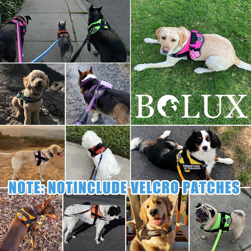 Bolux Dog Harness, No-Pull Reflective Dog Vest, Breathable Adjustable Pet Harness with Handle for Outdoor Walking - No More Pulling, Tugging or Choking Large (Pack of 1) BluePool - PawsPlanet Australia