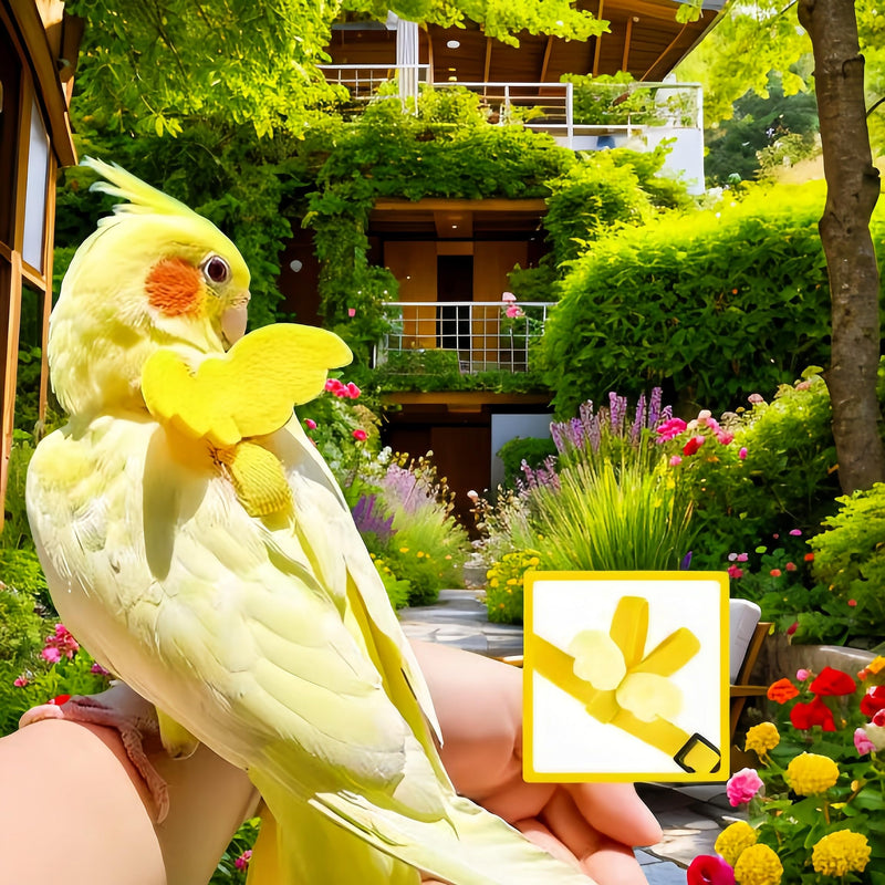 3 Sets Pet Parrot Bird Harness and Leash with Cute Wing, Adjustable Bird Flying Harness Straps Outdoor Training Traction Rope for Parrots Pigeons Lovebird Cockatiel(L,Pink, Yellow&Purple) Pink, Yellow&Purple L - PawsPlanet Australia