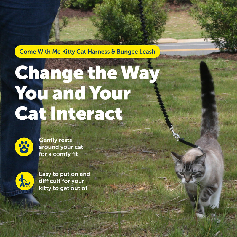 PetSafe Come with Me Kitty Cat Harness & Bungee Leash - Comfortable No-Choke Harness with Lightweight Bungee Leash for Outdoor Fun - Escape Free Pulling Prevention - Large - Red Large (Pack of 1) - PawsPlanet Australia