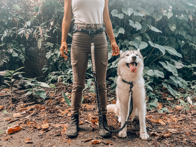Tuff Pupper Heavy Duty Hands Free Dog Leash | One Large Dog Up to 125 lbs | Comfortable Shock Absorbing Bungee | Reflective Padded Handles | Lumbar Waist Belt 26-38" | Walking Jogging Running Leash One - Large Dog (45-125 pounds)