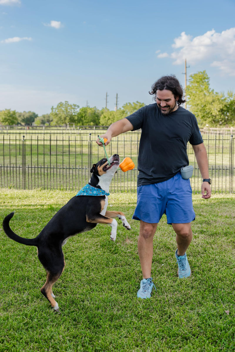 Ultimate Dog Walk & Train Kit - Silicone Dog Treat Pouch - Tug Ball - Portable Water Bottle for Dogs - Ideal Gift for First Time Pet Owners - Training Pouch