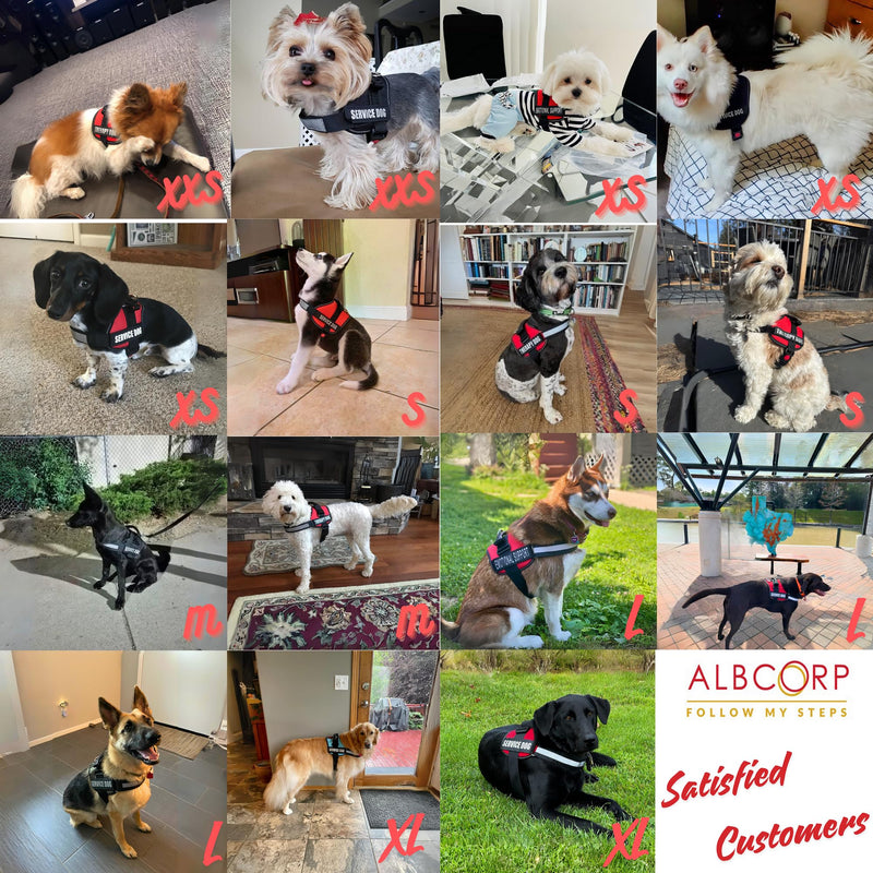ALBCORP Service Dog Vest Harness – Reflective Service Animal Vest with Handle, No-Pull Adjustable Mesh Padding – XXS–XL – 2 Removable Patches. (Small, Black) S 20''- 27'' Girth - PawsPlanet Australia