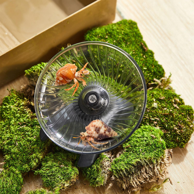 Poen Hermit Crabs Exercise Wheel Toy 4.13 x 2.95 x 3.34 Inch Silent Hermit Crab Running Tank Accessories Hamster Wheel Flying Saucer Small Animal Running Wheels(4.13 x 2.95 x 3.34 Inch) - PawsPlanet Australia