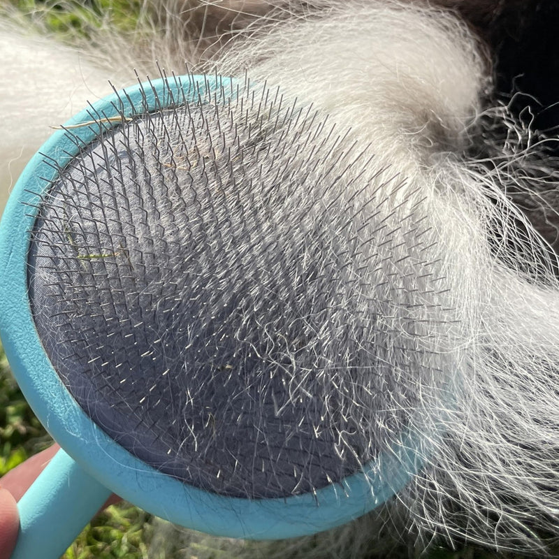 Masterclip Super Slicker Dog Brush – Oval Head with Flexi-Pins for Shedding & Detangling – Ideal for Curly, Double & Long Coats