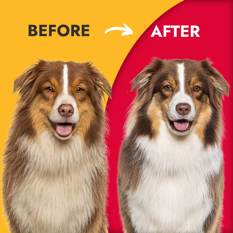 KONG Double-Sided Rake & Deshedding Tool – Detangling & Shedding Control, Rounded Metal Tips, Non-Slip Grip, for Medium to Large Dogs with Medium to Long Coats, Red/Gray - PawsPlanet Australia