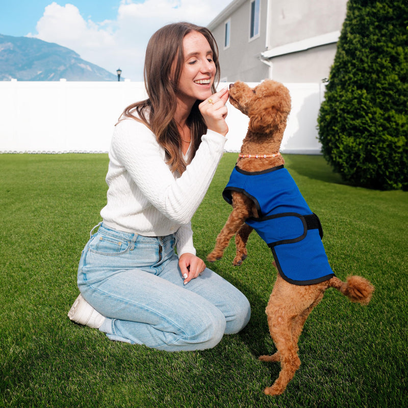 Dog Cooling Vest. Lightweight Jacket with Evaporative Cool Microfiber Technology, UV Protection Shirt for Beach, Sizing for Small, Medium and Large Dogs (XL, Dark Blue) X-Large