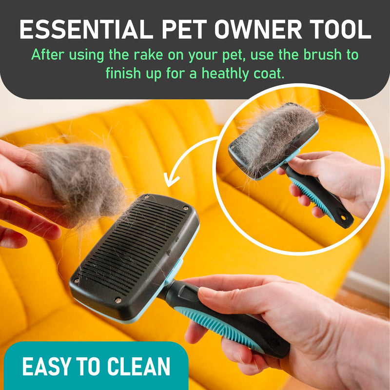 Maxpower Planet Dog Rake and Dog Hair Brush - Gently Removes Loose Undercoat, Mats and Tangled - Deshedding Grooming Tool for Dogs & Cats - Self Cleaning Slicker Brush - All Hair Types A - Rake & Brush (Best Value) - PawsPlanet Australia