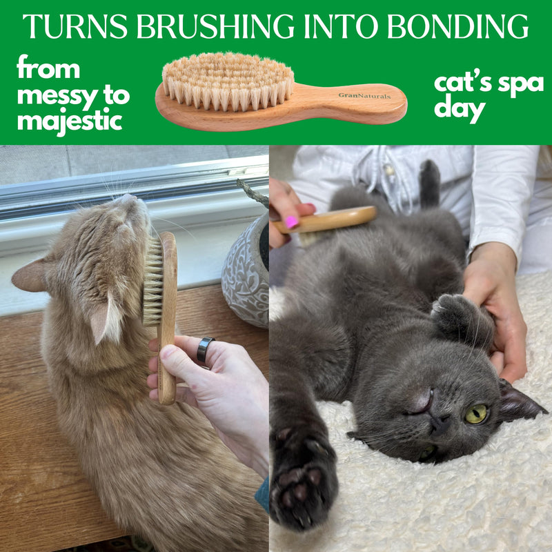 GranNaturals Boar Bristle Soft Cat Brush for Indoor, Outdoor, Short Haired Cats, Kittens, Small Dog, Rabbit, Furry Pets - Gentle Grooming on Sensitive Hair Coat & Tail with Durable Wooden Handle - PawsPlanet Australia