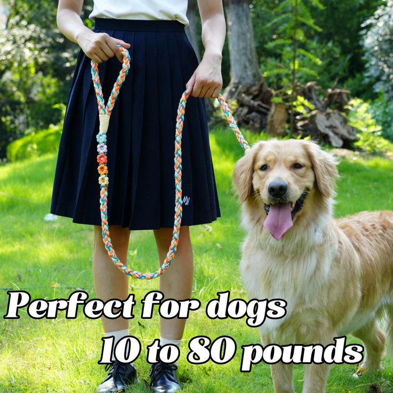 Handmade 5ft Braided Cotton Dog Leash with Unique Floral Handle, Durable and Stylish, Ideal for Small to Large Dogs,Rainbow Mix Fiesta Twist - PawsPlanet Australia