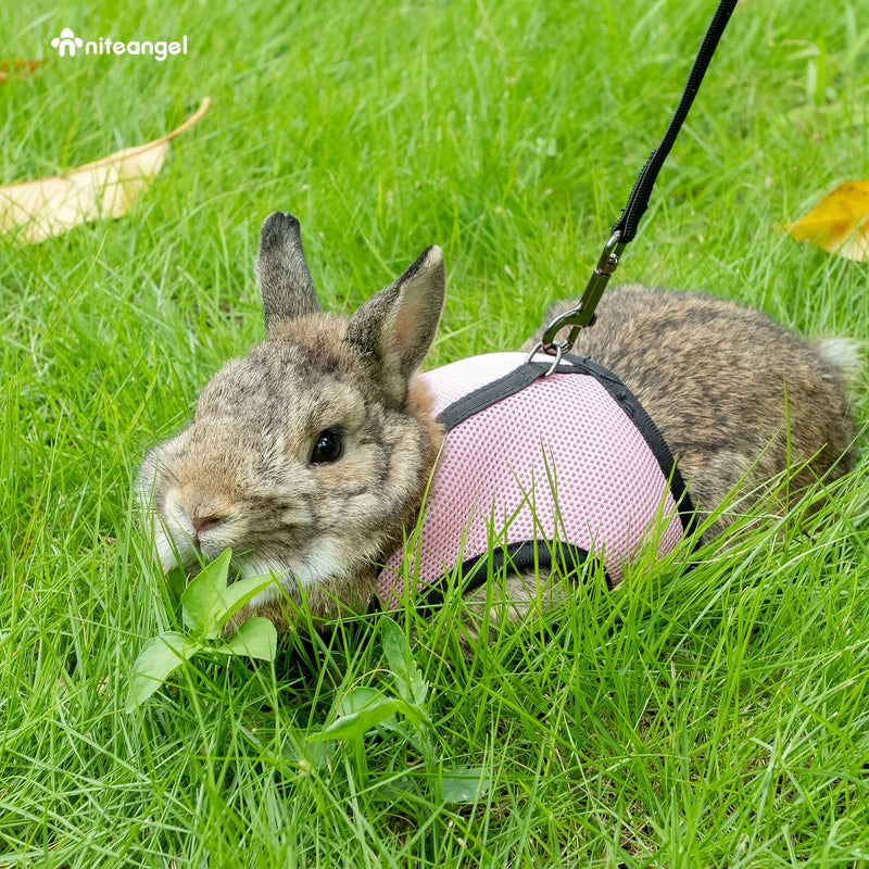 Niteangel Adjustable Soft Harness with Elastic Leash for Rabbits (L, Pink) L - PawsPlanet Australia