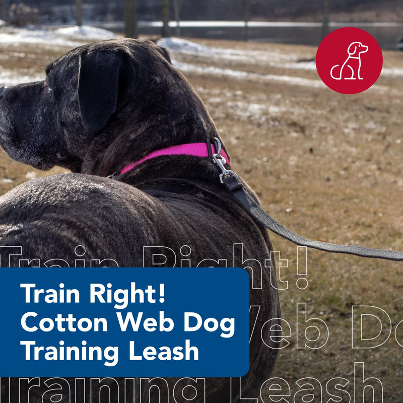 Coastal Pet Train Right Cotton Web Dog Training Leash - 100% Cotton Dog Leash for Training - Durable Supplies - Green, 5/8" x 10' - PawsPlanet Australia