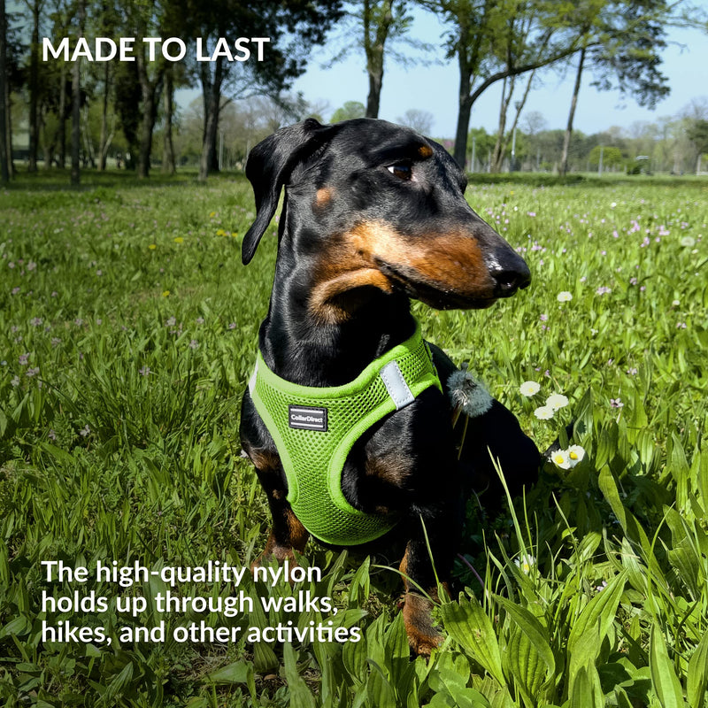 CollarDirect Step-in Reflective Dog Harness - Any Weather Air Mesh for Small and Medium Dogs Easy to Put On and Off (Size M, Lime Green) - PawsPlanet Australia