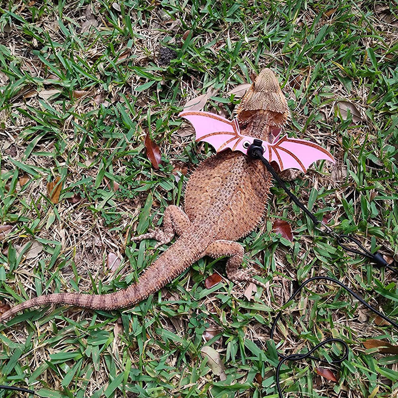 ADOGGYGO Bearded Dragon Leash Harness, 3 Size Pack Pink Leather Wing Lizard harness with Removable Lizard Leash for Bearded Dragon Lizard Reptiles (Pink)