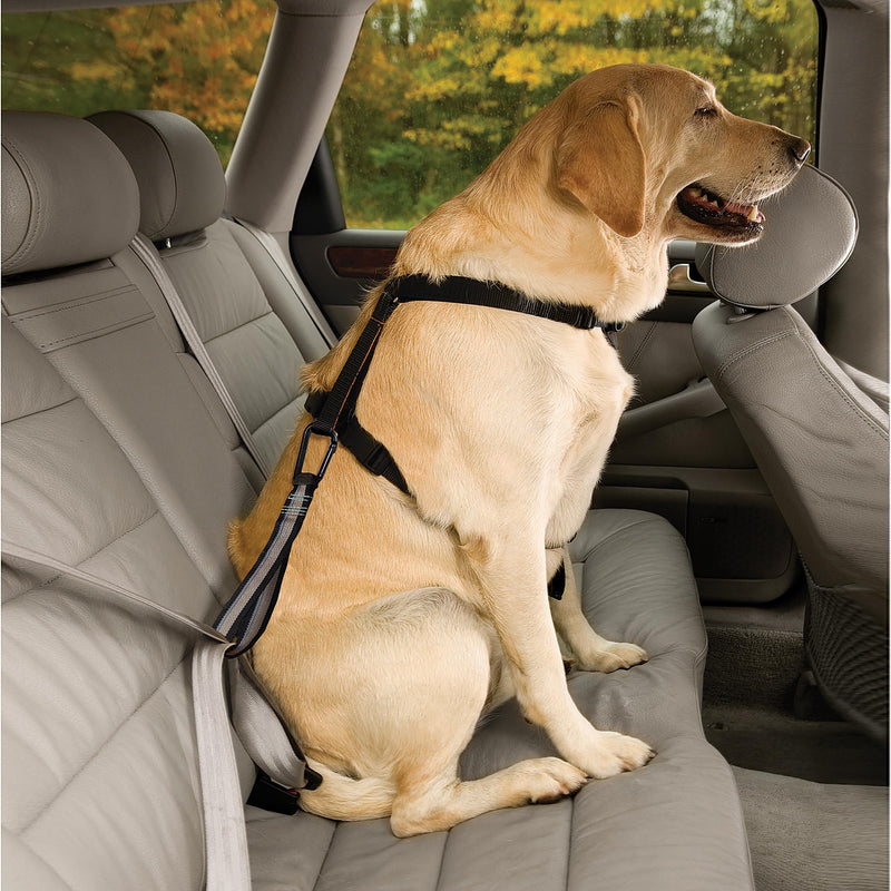 Kurgo Swivel Tether - Strong Dog Restraint - Heavy Duty Car Leash - Aluminum Carabiner Clip - Anti-Twist Swivel Motion Seatbelt - Escape Resistant Dog Tether - Travel Restraint - Black/Gray Grey/Black - PawsPlanet Australia