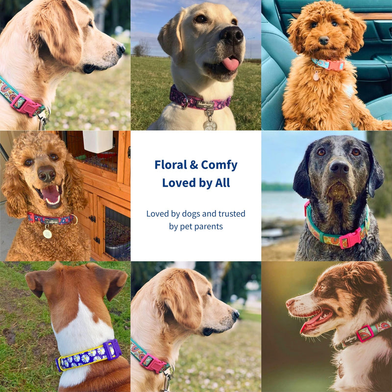 Blueberry Pet Soft & Comfy Pretty Posies Spring Garden Navy Padded Adjustable Dog Collar, Small, Neck 12"-16" - PawsPlanet Australia