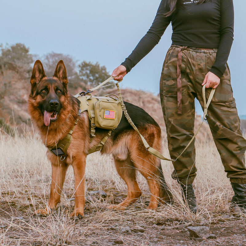 Forestpaw Tactical Dog Leash for Large Dogs,Heavy Duty Bungee Dog Leash with Shock Absorption,2 Padded Handles for Training Running Walking,Adjustable 4-5FT,Khaki Khaki Length:4-5FT,Width 1"