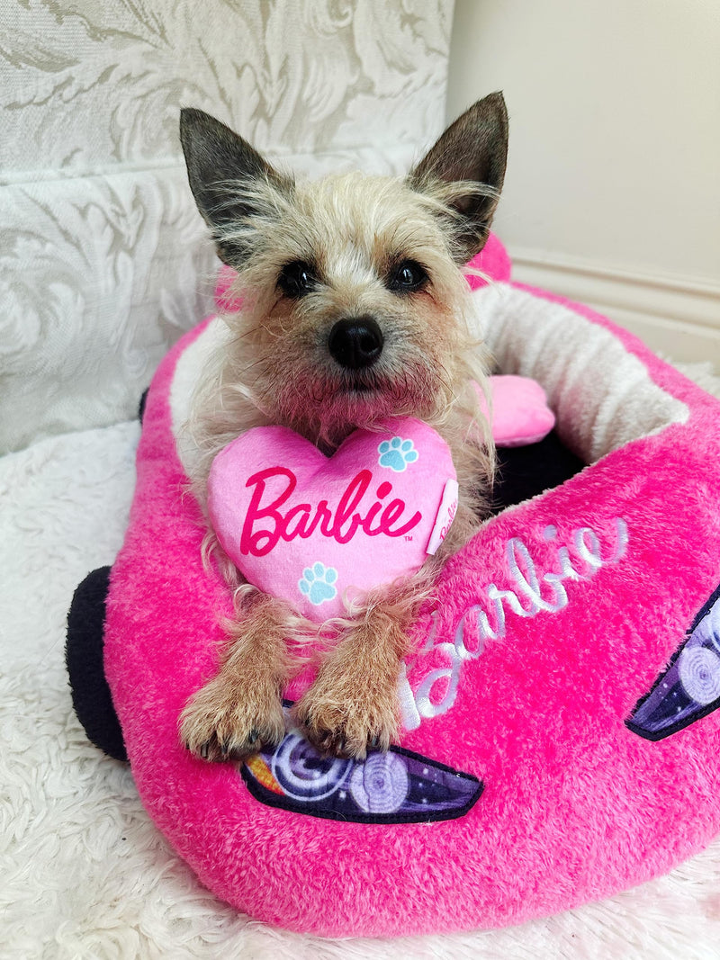 Barbie Plush Car Pet Bed- Themed Plush Pink Pet Bed for Dogs and Cats – Soft and Cozy Pet Bed with Barbie Pillow and Car Design - PawsPlanet Australia