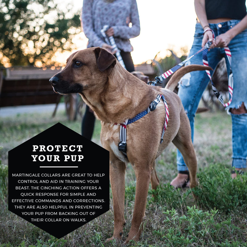 Wolfgang Premium Martingale Dog Collar for Small Medium Large Dogs, Made in USA, PledgeAllegiance Print, Large (1 Inch x 18-22 Inch) Large (1 Inch x 18-22 Inch) - PawsPlanet Australia