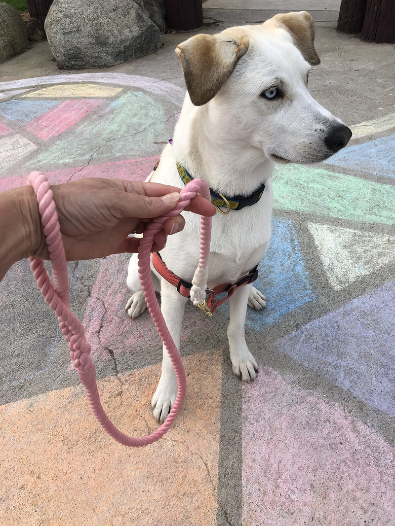 Glow Pups Rope Dog Leash with Durable Braided Design, Stylish Ombre Pattern, and Rustproof Swivel Hook, 5 Foot Long, Hand-Crafted, Ideal for Medium and Large Dogs (Pink) Pink - PawsPlanet Australia