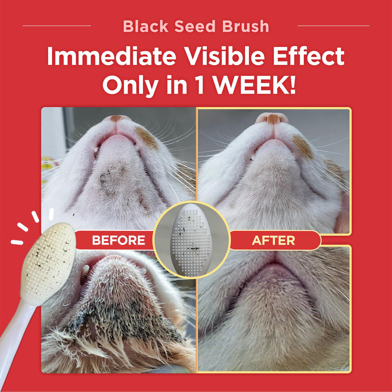 JAYU PET Black Seed Brush - Cat Grooming and Exfoliating Double-Sided Brush for Acne and Chin Treatment (3PCS) 3ea - PawsPlanet Australia