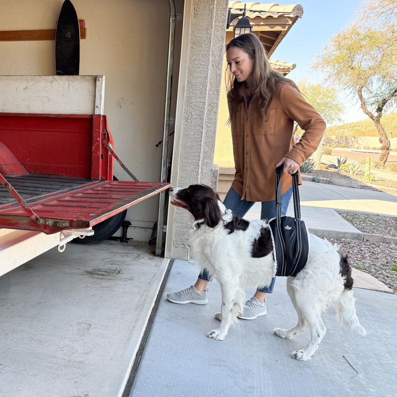 Doggie Stylz Portable Dog Lift Harness 4-150 lbs. Dog Sling for Back Legs, Hip Support Harness Helps Lift for Rehab, Weak Rear Legs, Hind Leg Support, Senior, Injured, Disabled, After Surgery (Large) Large - PawsPlanet Australia