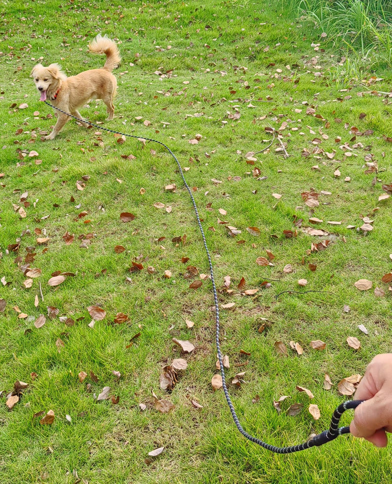 12FT Long Slip Lead Leash, 20ft 30ft 50ft Reflective Rope Training Lead No-Choking for Medium Dogs Small Puppy Pets Behavior Active Playing (Blue) 1/3 in x 12ft Blue - PawsPlanet Australia