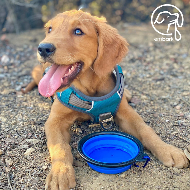 Embark Adventure Dog Harness, Easy On and Off with Front and Back Leash Attachments & Control Handle - No Pull Training, Size Adjustable and Non Choke Large Teal Blue - PawsPlanet Australia