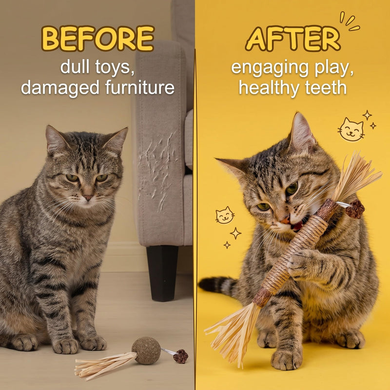 4 catnip sticks, chew sticks for cats for dental cleaning, indoor cat sticks, against bad breath and tartar, for cat grooming