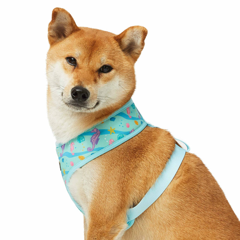 Blueberry Pet Summer Sparkle Dog Harness Vest, Adjustable Medium Size, Chest Girth 19.5" - 26", Turquoise, Ocean Fish and Seahorse Print Nautical Pet Harness (19.5" - 26") Chest Girth (Pack of 1) Seahorse and Friends - PawsPlanet Australia
