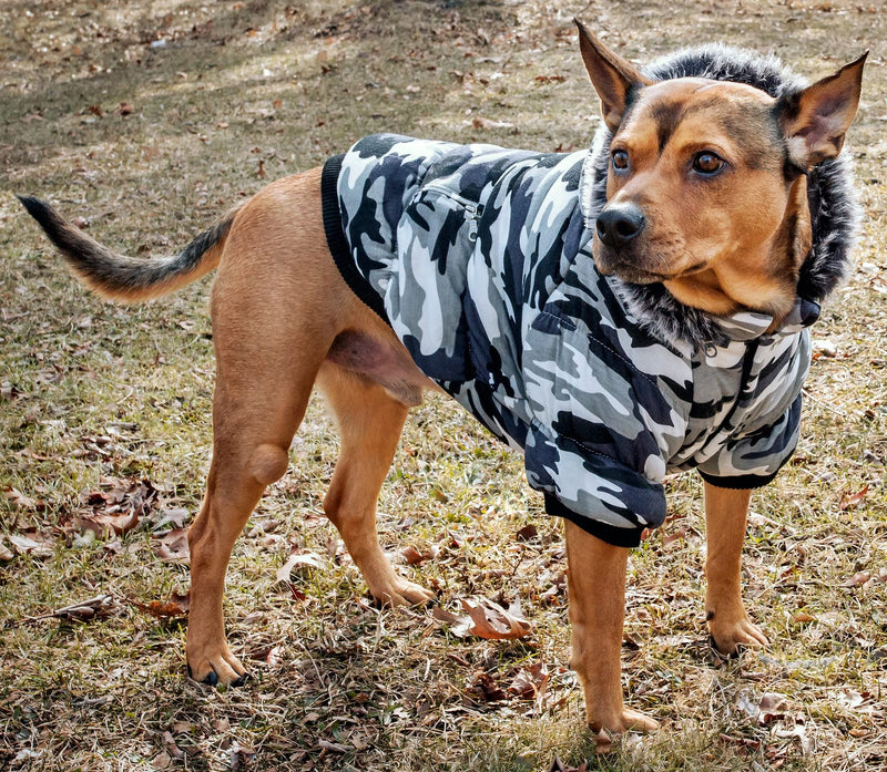 PET LIFE Classic Metallic Fashion Pet Dog Coat Jacket Parka w/ 3M Insulation and Removable Hood, Large, Deer Pattern Camo Grey - PawsPlanet Australia