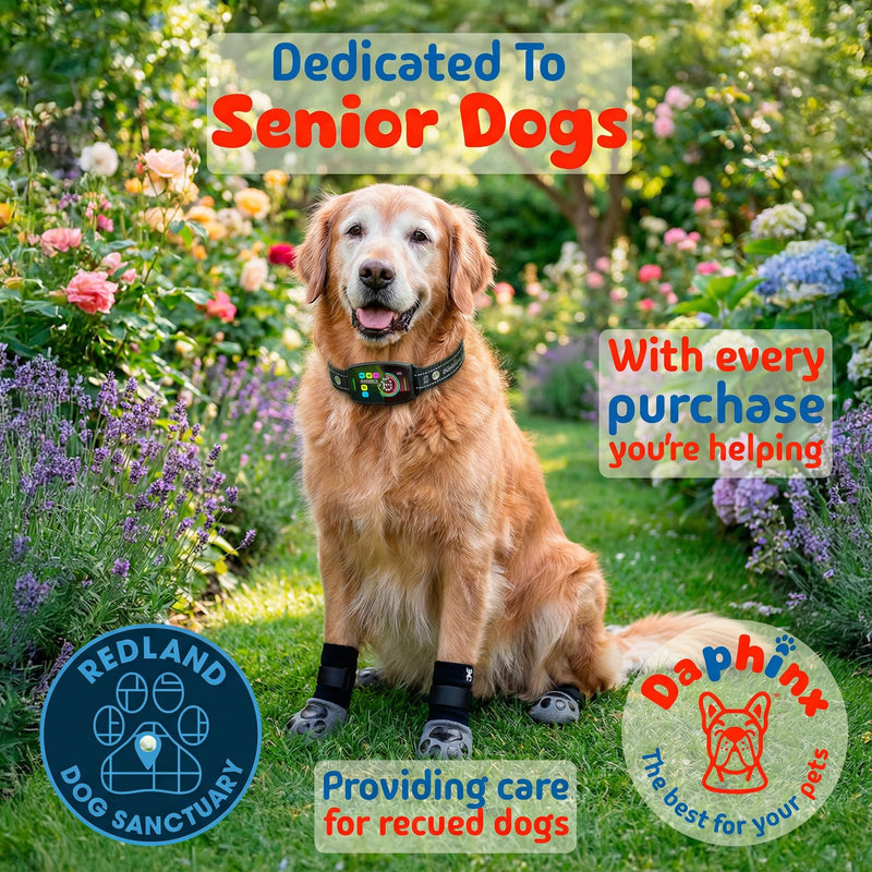 Anti Barking Device for Dogs, Bark Box, Barking Dog Deterrent, Barks no More Dog Training Device, ultrasonic Dog bark Deterrent, Stop Dog Barking Device up to 50 ft, In & Outdoor use 2024, Automatic - PawsPlanet Australia