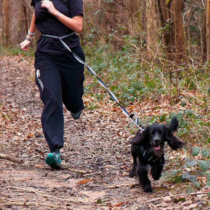 Mountain Paws Running Dog Lead | Hand-held Or Waist Mounted With Soft Grip Neoprene Handle, 1.4 Metres - PawsPlanet Australia