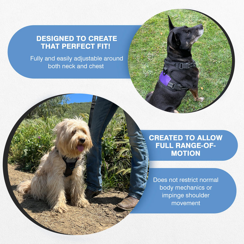 The North Star Dog Harness™ - Comfortable, Fully Adjustable, Designed to Reduce Pulling, Escape Resistant, Durable, fastens Easily and securely. (Grey, Small) - PawsPlanet Australia