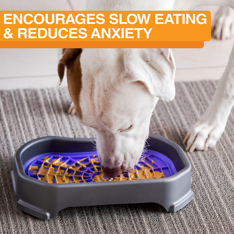 Neater Pet Brands - Pets - Neat-LIK with Mess-Proof Tray Keeps Floors Clean Purple Mat w/ Gunmetal Tray - PawsPlanet Australia