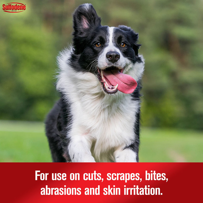 Dog Wound Care Ointment, Relieves Pain & Prevents Infection For Dog Cuts, Scrapes, Bites and Injuries, 2 Ounce - PawsPlanet Australia