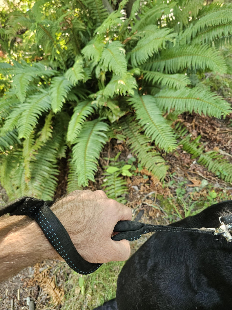 Heavy-Duty 6ft Dog Leash – Quick Release Snap, Dyneema Handle, Waterproof, 316 Stainless, Handmade USA (Hunter Green) Hunter Green - PawsPlanet Australia