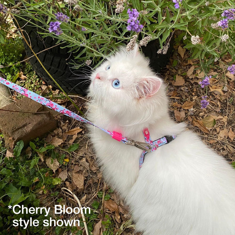 Max and Molly Adjustable Cat Harness and Leash Set - Escape-Proof Cat Harness with Leash for Outdoor Walking and Exploring - Tropical Design (Cherry Bloom) Cherry Bloom - PawsPlanet Australia