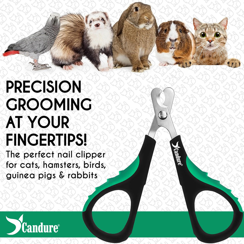 Candure Cat Nail Clippers for Indoor Cats, Rabbits, Hamsters, Birds with Precise Angled Edges to Ensure Easy & Safe Trimming Stainless Steel Cat Nail Trimmer for At-Home Cat Grooming Dark Green Small